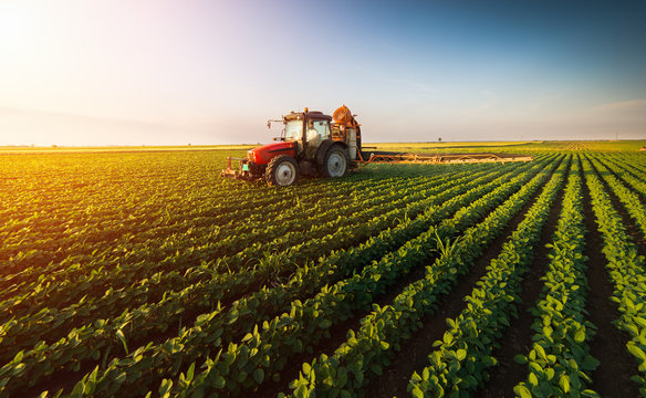Developing innovative phytosanitary measures for plant health - focus on systems approach for pest risk management