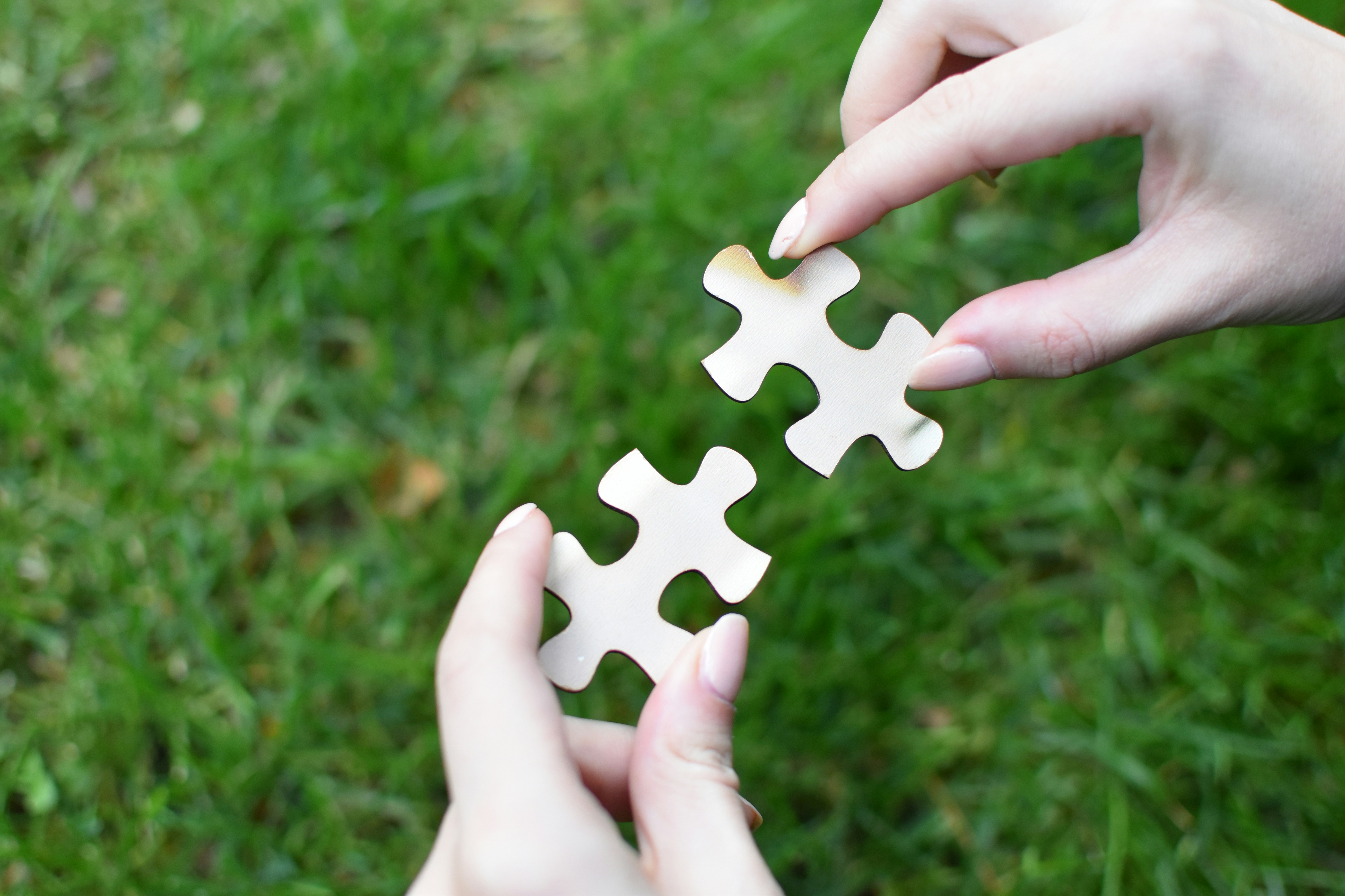 Capacity Building and Circular Partnerships for Social Economy SMEs