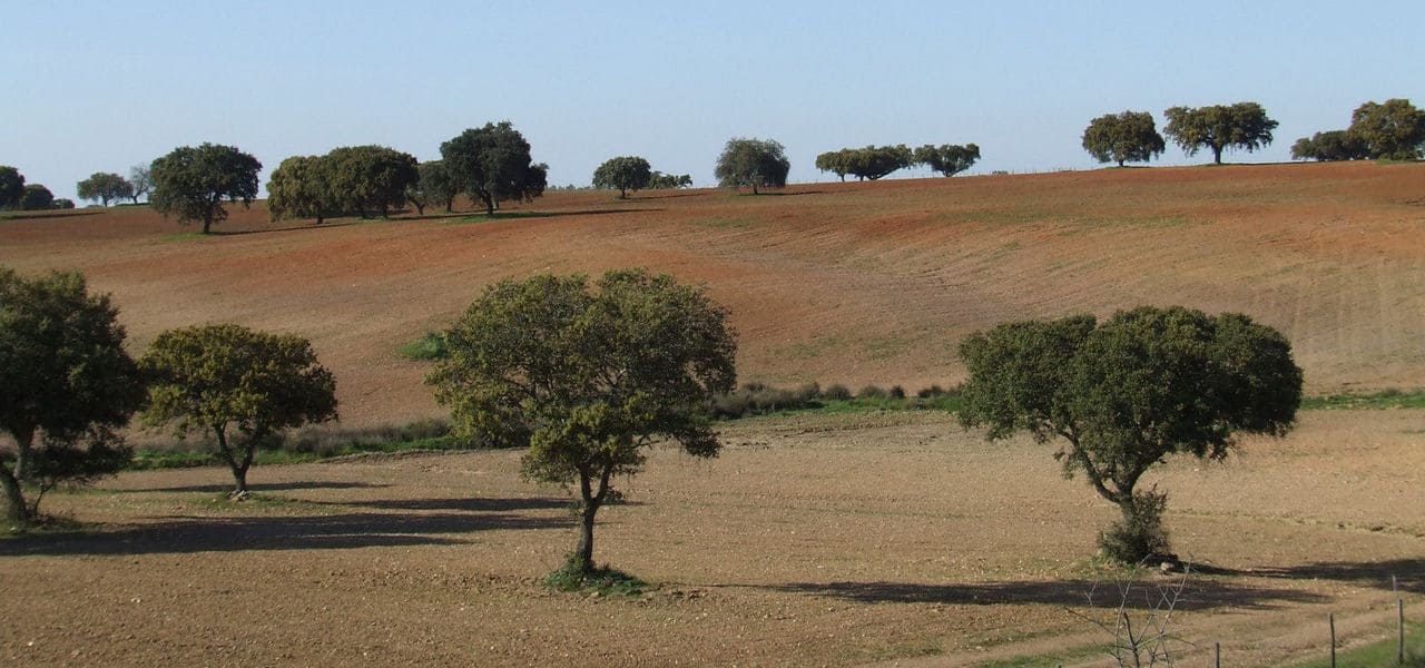 Medidas de apoio às alterações climáticas e prevenção e gestão de riscos associados ao clima