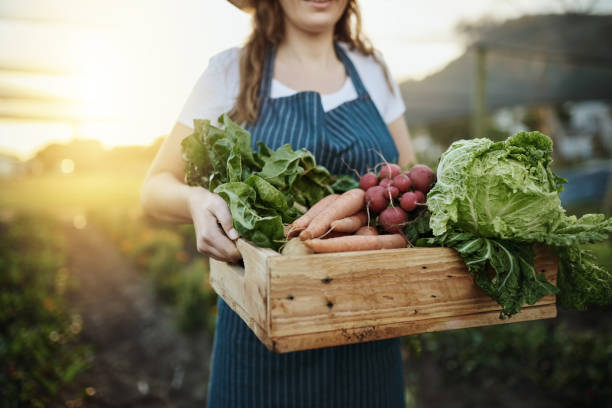 Creating urban co-creation spaces for driving sustainable food system transformation