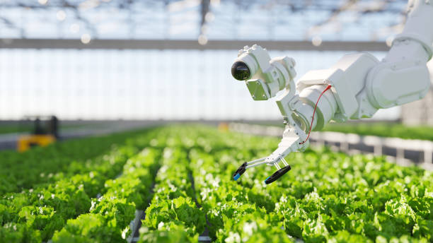 Developing a joint AU-EU Agricultural Knowledge and Innovation System (AKIS) supporting the Food and Nutrition Security and Sustainable Agriculture (FNSSA) partnership